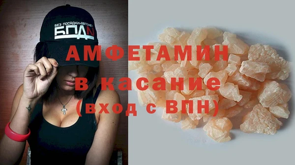 прущие грибы Долгопрудный