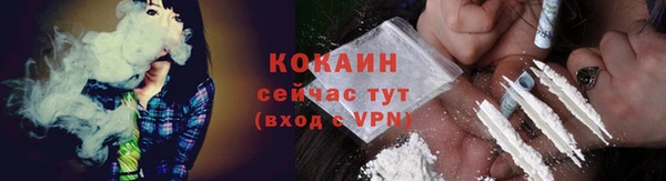 ECSTASY Гусев