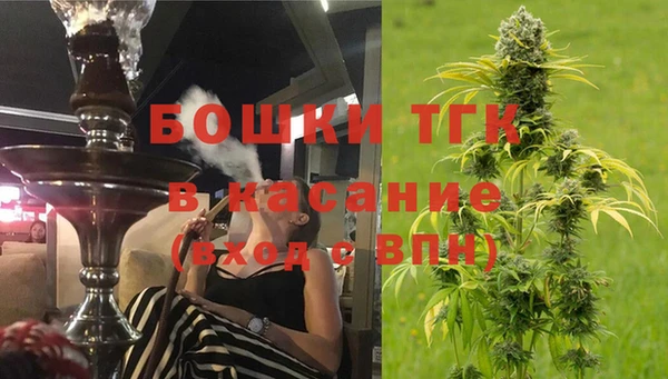 ECSTASY Гусев