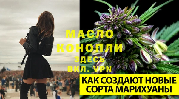 a pvp Новый Уренгой