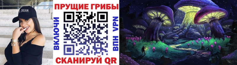 Псилоцибиновые грибы Magic Shrooms  даркнет сайт  Заволжье 