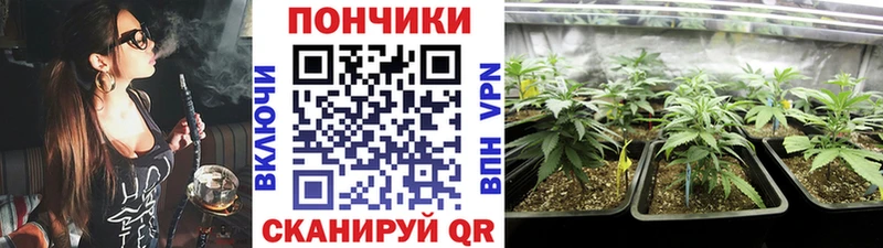 купить наркотики цена  Заволжье  Канабис MAZAR 